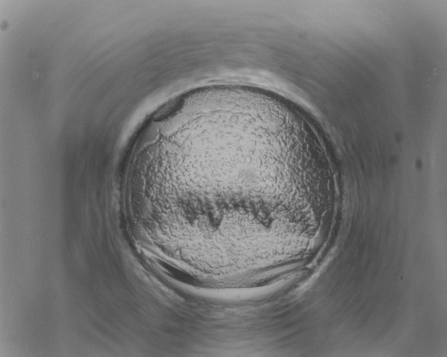 X0000067951506200605112112