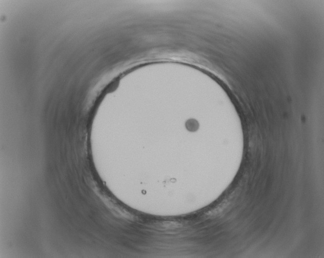 X0000067951507200605112112