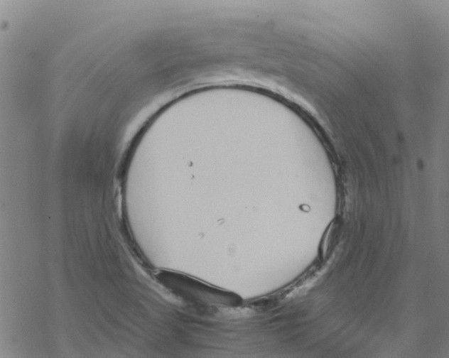 X0000067951509200605112112