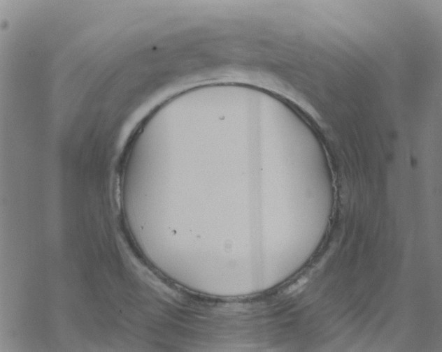 X0000067951510200605112112