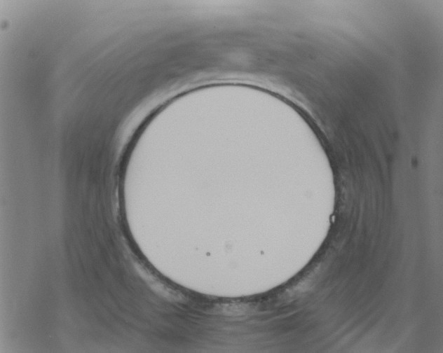 X0000067951511200605112112