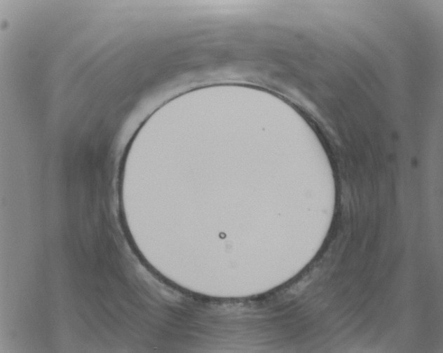 X0000067951512200605112112