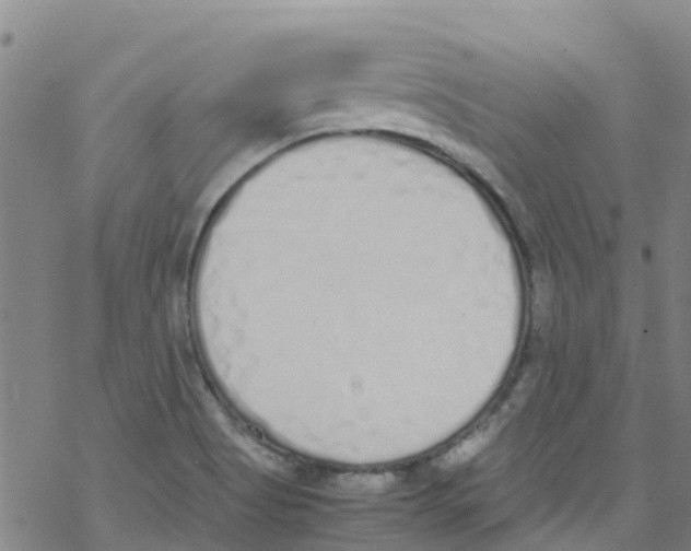 X0000067951513200605112112