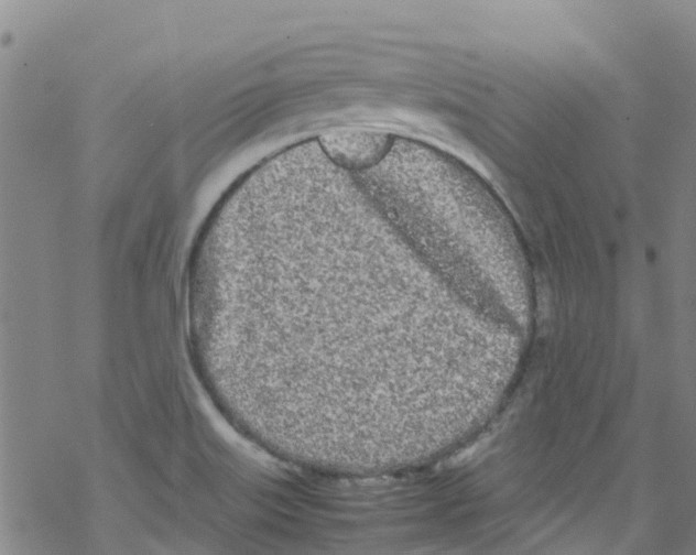 X0000067951515200605112112