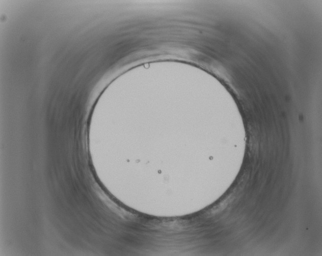 X0000067951516200605112112