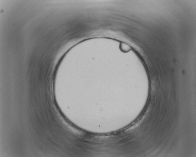 X0000067951517200605112112