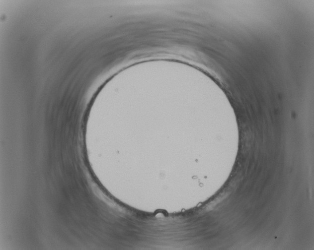 X0000067951518200605112112