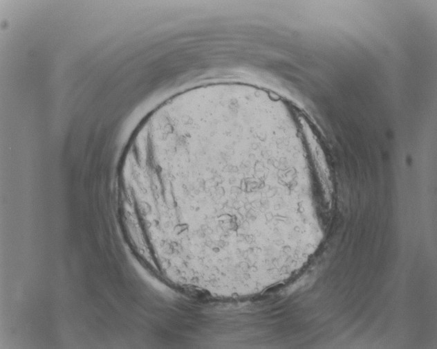 X0000067951519200605112112