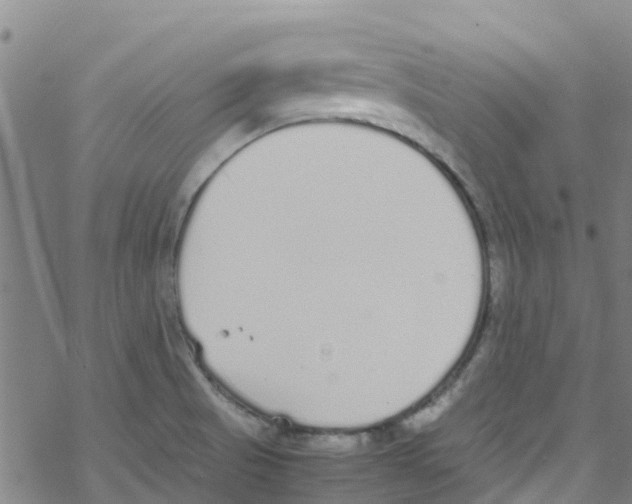 X0000067951521200605112112