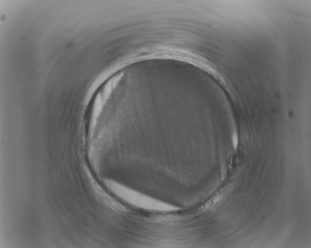 X0000067951522200605112112