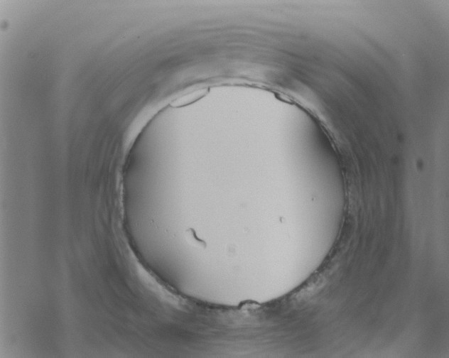 X0000067951524200605112112