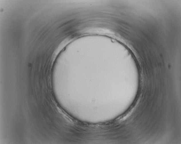 X0000067951529200605112112