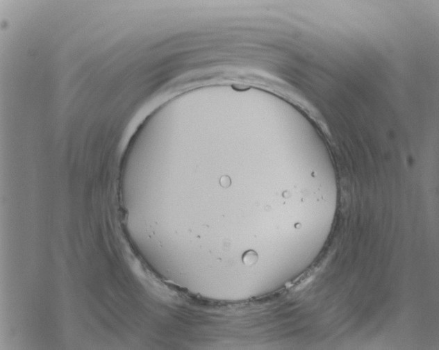 X0000067951530200605112112