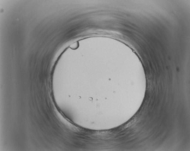 X0000067951531200605112112