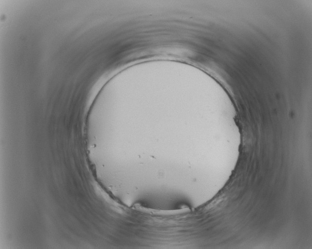 X0000067951532200605112112