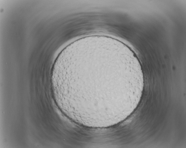 X0000067951534200605112112