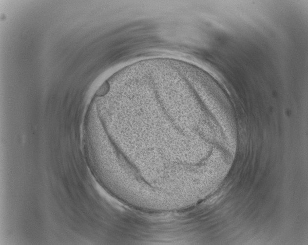 X0000067951535200605112112