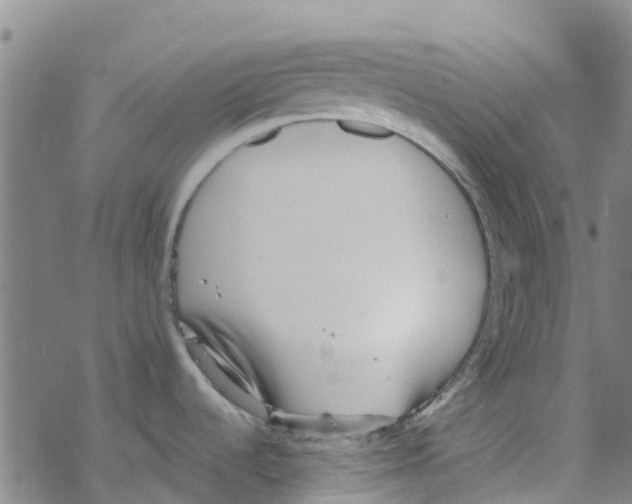 X0000067951536200605112112