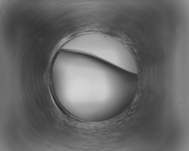 X0000068260003200604210926