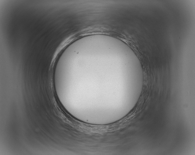 X0000068260004200604210926