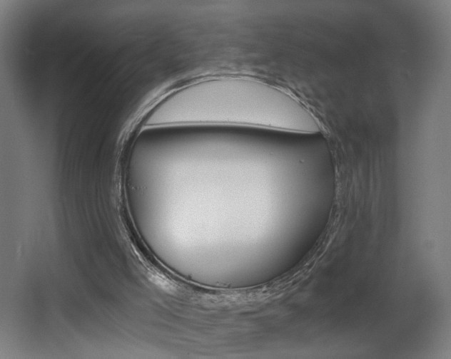 X0000068260005200604210926