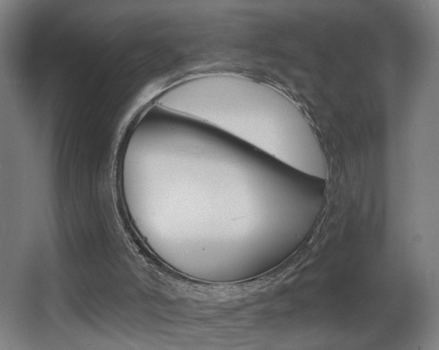 X0000068260006200604210926