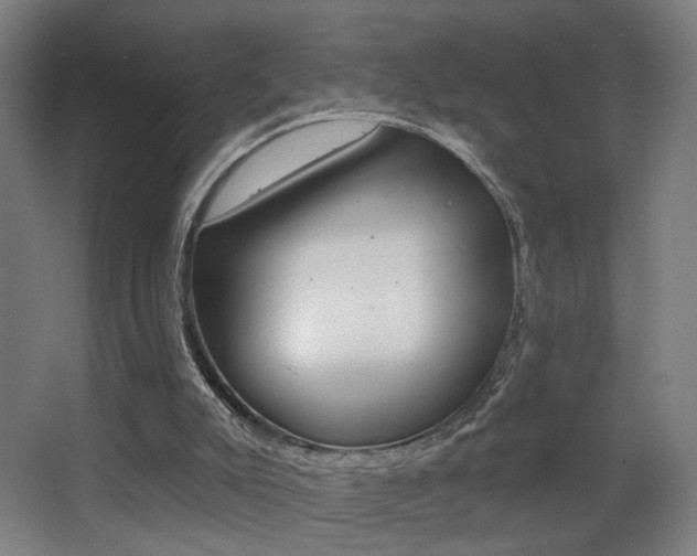 X0000068260007200604210926