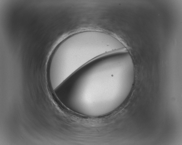 X0000068260008200604210926