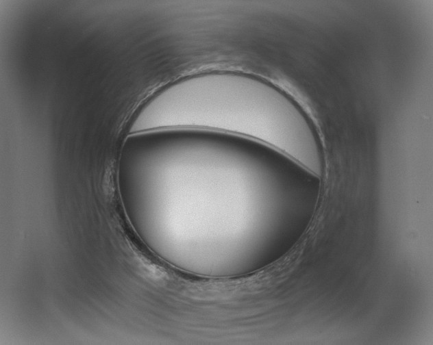 X0000068260009200604210926