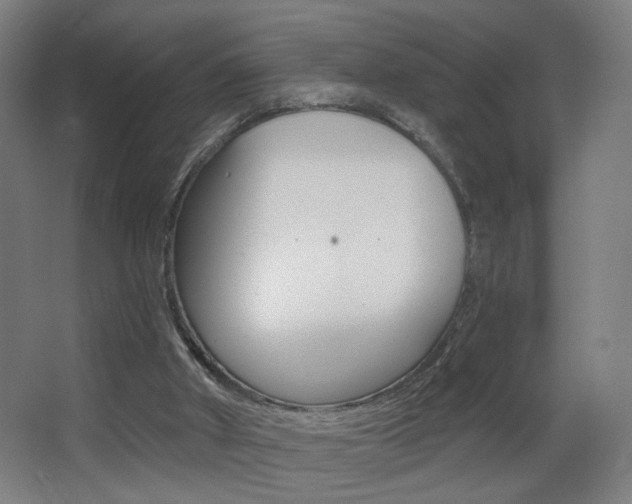 X0000068260010200604210926