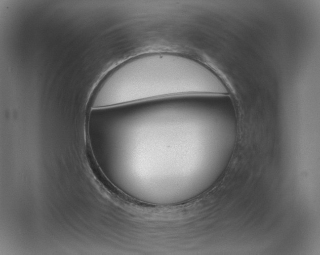 X0000068260011200604210926