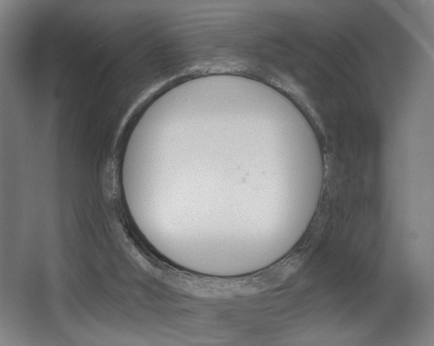 X0000068260012200604210926