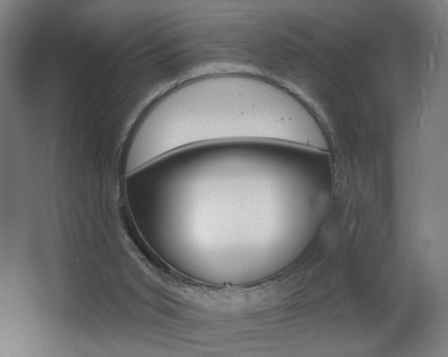 X0000068260015200604210926