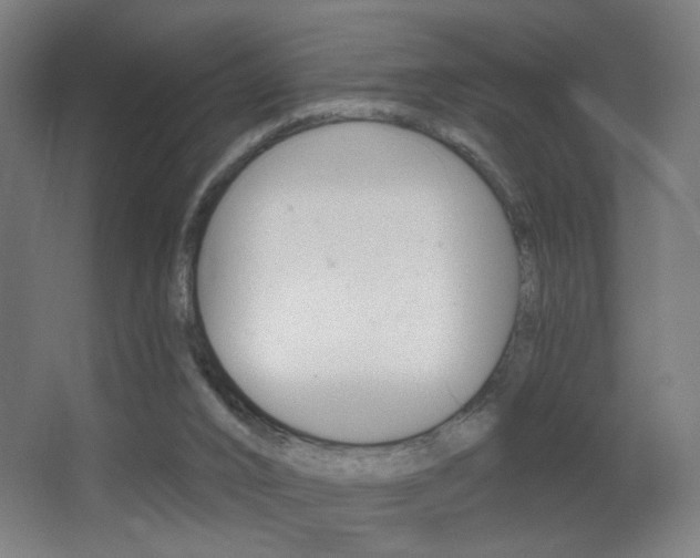 X0000068260016200604210926