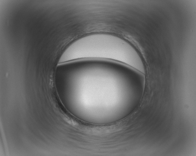 X0000068260017200604210926