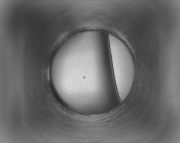 X0000068260019200604210926