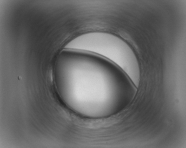 X0000068260021200604210926