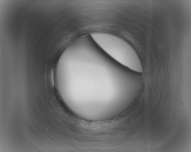 X0000068260022200604210926