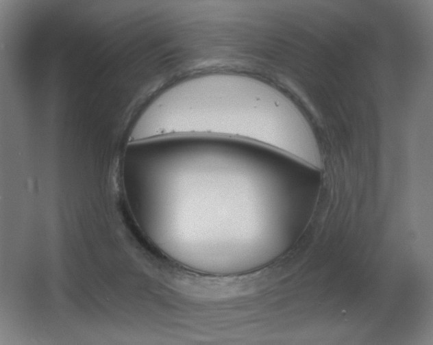 X0000068260023200604210926