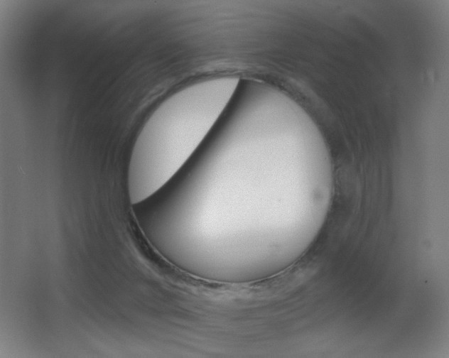 X0000068260024200604210926