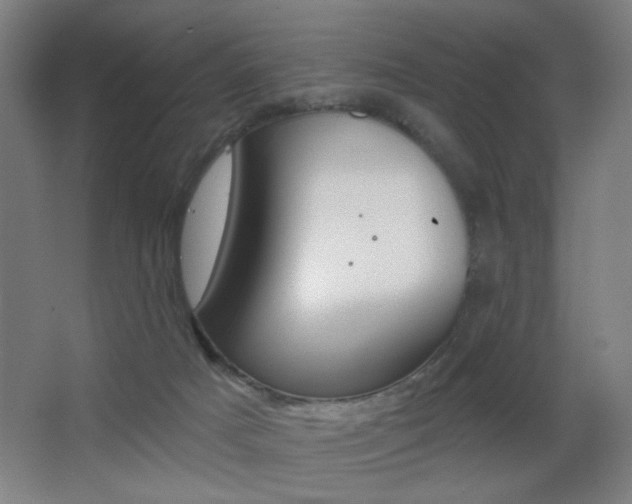 X0000068260025200604210926