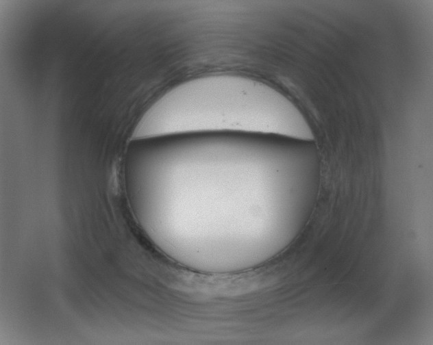 X0000068260026200604210926