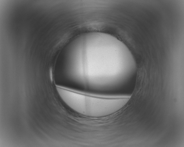 X0000068260027200604210926