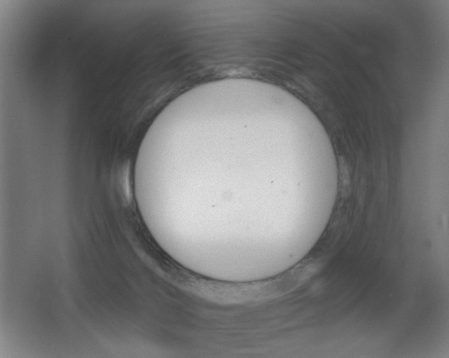 X0000068260028200604210926