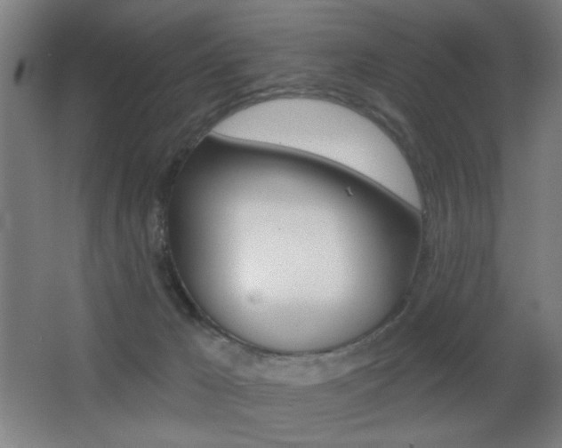 X0000068260029200604210926