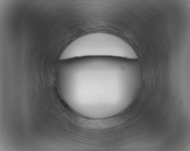 X0000068260030200604210926