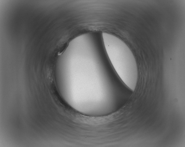 X0000068260031200604210926