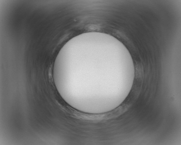 X0000068260032200604210926