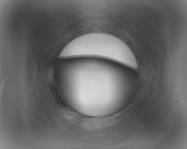 X0000068260033200604210926