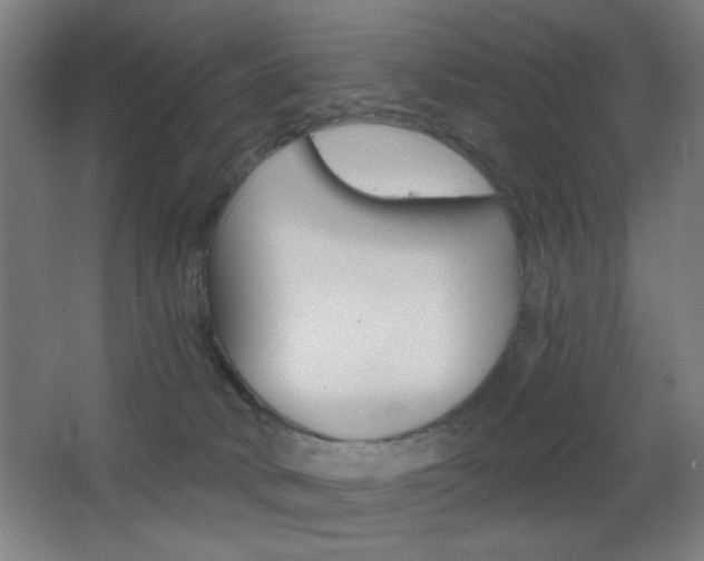 X0000068260034200604210926